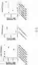 Fig. 06 - Vaccines targeting M. catharrhalis