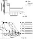 Fig. 08 - Vaccines targeting M. catharrhalis