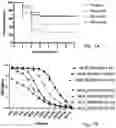 Fig. 09 - Vaccines targeting M. catharrhalis