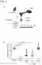 Fig. 06 - VIRUS COMPOSITIONS
