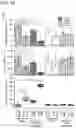 Fig. 23 - VIRUS COMPOSITIONS