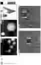 Fig. 26 - VIRUS COMPOSITIONS