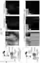 Fig. 28 - VIRUS COMPOSITIONS