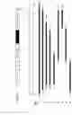 Fig. 03 - RSV F/G chimeric vaccine
