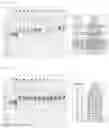 Fig. 11 - RSV F/G chimeric vaccine