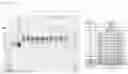 Fig. 12 - RSV F/G chimeric vaccine