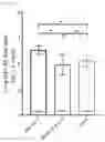 Fig. 33 - RSV F/G chimeric vaccine
