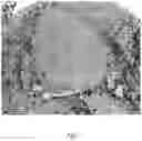 Fig. 02 - MANF as a Regulator of Immune System Function