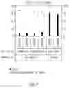 Fig. 09 - MANF as a Regulator of Immune System Function
