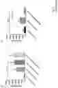 Fig. 03 - DUAL ACTING CD1D IMMUNOGLOBULIN