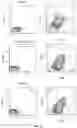 Fig. 04 - WHOLE CELL TUMOR VACCINES AND METHODS OF USE THEROF