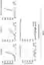 Fig. 06 - WHOLE CELL TUMOR VACCINES AND METHODS OF USE THEROF