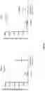 Fig. 15 - WHOLE CELL TUMOR VACCINES AND METHODS OF USE THEROF