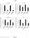 Fig. 18 - WHOLE CELL TUMOR VACCINES AND METHODS OF USE THEROF