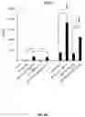 Fig. 20 - WHOLE CELL TUMOR VACCINES AND METHODS OF USE THEROF