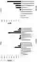 Fig. 23 - WHOLE CELL TUMOR VACCINES AND METHODS OF USE THEROF