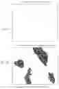 Fig. 05 - Methods and Compositions for Improving Antiangiogenic Therapy with Anti-Integrins