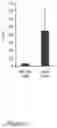 Fig. 06 - Methods and Compositions for Improving Antiangiogenic Therapy with Anti-Integrins