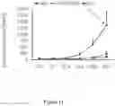 Fig. 12 - Methods and Compositions for Improving Antiangiogenic Therapy with Anti-Integrins