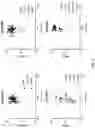 Fig. 02 - FORMULATIONS OF ANTIBODIES THAT BIND HUMAN CD137 AND USES THEREOF