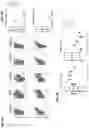 Fig. 07 - FORMULATIONS OF ANTIBODIES THAT BIND HUMAN CD137 AND USES THEREOF