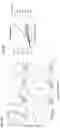 Fig. 09 - FORMULATIONS OF ANTIBODIES THAT BIND HUMAN CD137 AND USES THEREOF