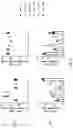 Fig. 10 - FORMULATIONS OF ANTIBODIES THAT BIND HUMAN CD137 AND USES THEREOF