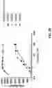 Fig. 32 - FORMULATIONS OF ANTIBODIES THAT BIND HUMAN CD137 AND USES THEREOF