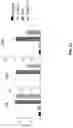 Fig. 35 - FORMULATIONS OF ANTIBODIES THAT BIND HUMAN CD137 AND USES THEREOF