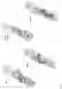 Fig. 09 - ANTIBODIES USEFUL IN PASSIVE INFLUENZA IMMUNIZATION, AND COMPOSITIONS, COMBINATIONS AND METHODS FOR USE THEREOF