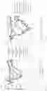 Fig. 14 - ANTIBODIES USEFUL IN PASSIVE INFLUENZA IMMUNIZATION, AND COMPOSITIONS, COMBINATIONS AND METHODS FOR USE THEREOF