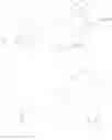 Fig. 12 - DRUG-LOADED EMULSION