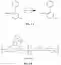 Fig. 08 - Uses of glycosaminoglycan conjugates