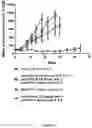 Fig. 10 - MOLECULAR ADJUVANT