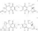 Fig. 56 - MOLECULAR ADJUVANT