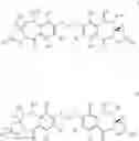 Fig. 84 - MOLECULAR ADJUVANT