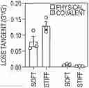 Fig. 01 - Encapsulated extracellular vesicles
