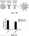 Fig. 03 - Immunoswitch nanoparticles for reprogrammed T cell responses
