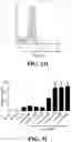 Fig. 06 - Immunoswitch nanoparticles for reprogrammed T cell responses