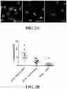 Fig. 09 - Immunoswitch nanoparticles for reprogrammed T cell responses