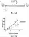 Fig. 13 - Immunoswitch nanoparticles for reprogrammed T cell responses