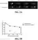 Fig. 17 - Immunoswitch nanoparticles for reprogrammed T cell responses