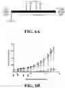 Fig. 18 - Immunoswitch nanoparticles for reprogrammed T cell responses