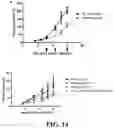 Fig. 28 - Immunoswitch nanoparticles for reprogrammed T cell responses