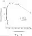 Fig. 17 - Lipid nanoparticle compositions and methods for mRNA delivery