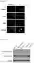 Fig. 04 - COMPOSITION FOR TARGETING MEDULLARY THYROID CANCER