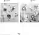 Fig. 02 - PATHOGEN DECONTAMINATION OF PERSONAL PROTECTIVE EQUIPMENT (PPE), FACE FILTERING RESPIRATORY DEVICES (FFR) AND SINGLE USE MEDICAL DEVICES (SUD)