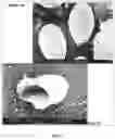 Fig. 03 - PATHOGEN DECONTAMINATION OF PERSONAL PROTECTIVE EQUIPMENT (PPE), FACE FILTERING RESPIRATORY DEVICES (FFR) AND SINGLE USE MEDICAL DEVICES (SUD)