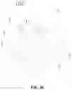 Fig. 08 - LIGHT STERILIZING APPARATUS