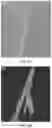 Fig. 08 - NANOCOMPOSITE FIBERS WITH A DRAMATIC REDUCTION IN HUMAN PLASMA COAGULATION TIME